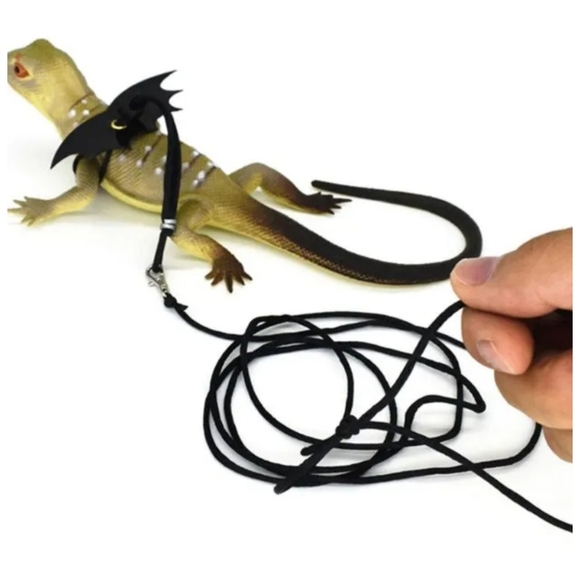 black wing Harness Leash set reptile harness small pet harness w wings MEDIUM - Picture 7 of 10